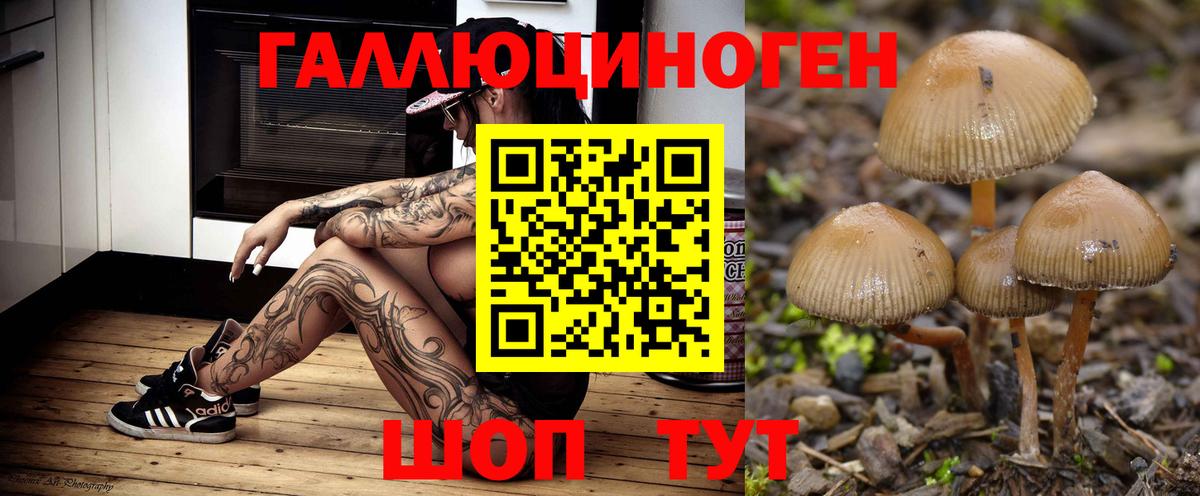 Нерюнгри  Галлюциногенные грибы мицелий  Вход с VPN 