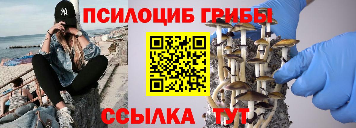 Галлюциногенные грибы мицелий Нерюнгри